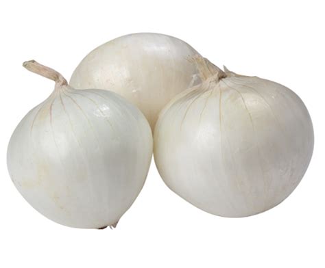 Ceba blanca mallorquina ECO