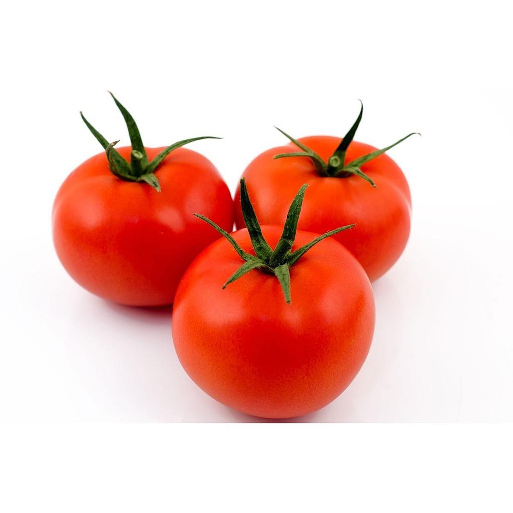 Tomàtiga bolla