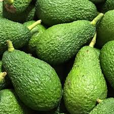 Alvocats Sóller No Eco